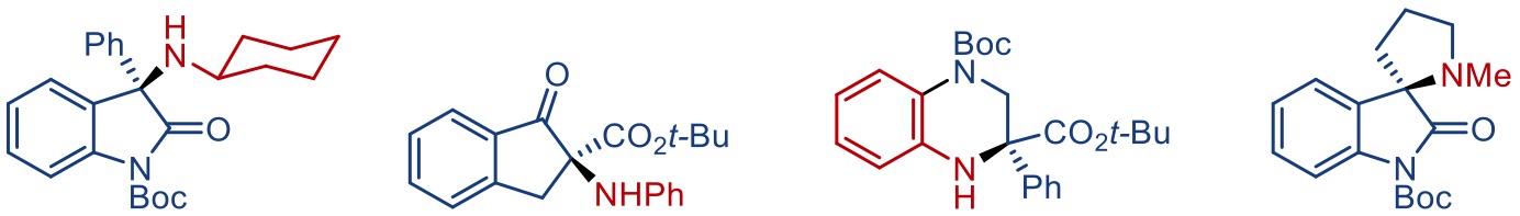 Examples of chiral α-aminocarbonyls synthesized by the Ooi group’s new α-amination reaction.