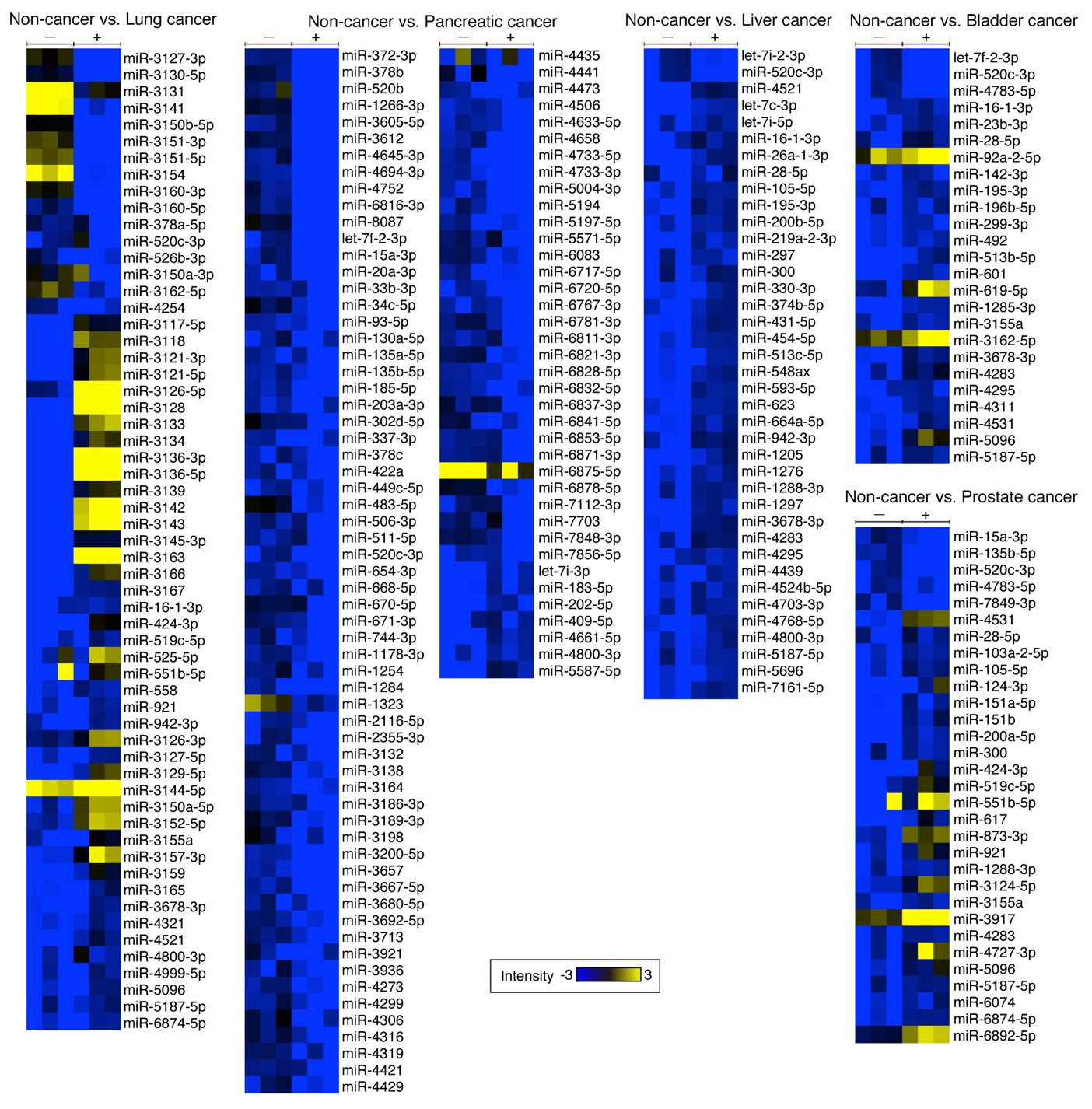 Identification of distinct microRNA patterns in healthy donors and cancer patients