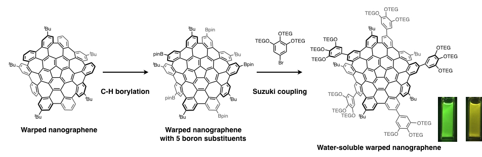 Synthetic route towards water-soluble warped nanographenes. 