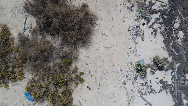 Drone beach footage