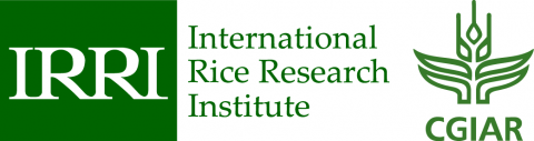 IRRI logo