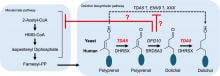 Proposed model for dolichol biosynthesis in budding yeast Saccharomyces cerevisiae. (Kazuki Hanaoka, Kuya Matsunaga, et al. PNAS. March 27, 2026) 