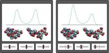 protein confirmation shifts