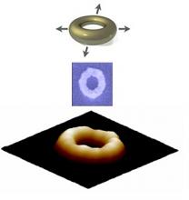 gold nanoring