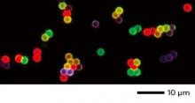core-shell nanoparticles