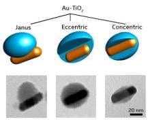 Janus nanoparticle