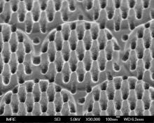 SEM image showing the engineered anti-reflective nanostructures