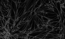 Fibrous caffeine crystals