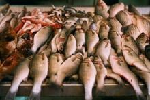 Fish market