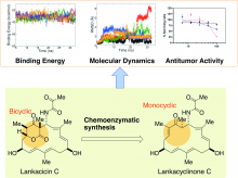 Chemoenzymatic synthesis and physico-chemical and biological functions of monocyclic polyketide compound, lankacyclinone C