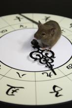 Figure 1. Mouse measuring the seasonal time. (Mice on the ancient Japanese clock ‘Wadokei’)