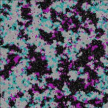 Image Name