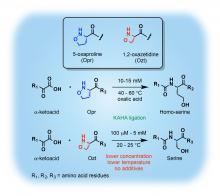 KAHA ligation to make amide bonds
