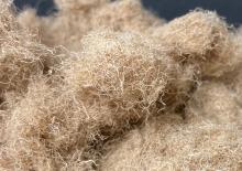 Natural fibres from Bagasse