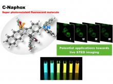 Development of a new photostable fluorescent dye “C-Naphox” for STED microscopy to visualize live cells
