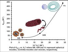 Figure 1 - Plot of KBr/S vs. KS0 where SM, WM, and VS represent spherical micelles, wormlike micelles and vesicles, respectively