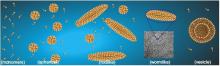Figure 1- The flexible and reversible structures of micelles
