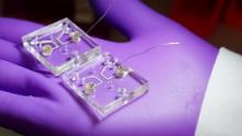 SMART microfluidic photo