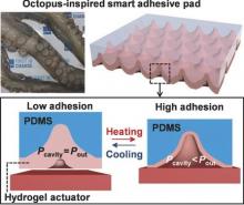 octopus-inspired smart adhesive pad.