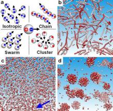 Janus colloids
