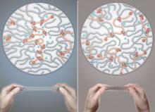 extensibility of polymer gels