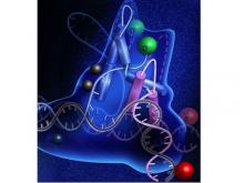 Active sites for hydrolysis of 2D material