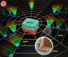 A schematic of a biosensor platform resembling a spider web 