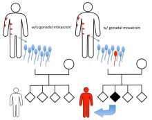 Gonadal Mosaicism Can Cause Whole-Body Birthmarks