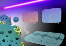 Nanoparticles take a bite out of infections