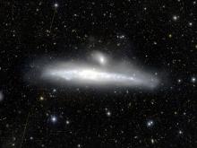 Uncovering the origins of galaxies’ halos