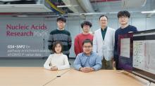 statistical algorithm, capable of identifying potential disease genes 