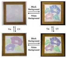 Color change of pigment obtained by fusing spherical colloidal crystal and diarylethene