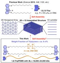 No Assembly Required: Self-assembling Silicone-based Polymers