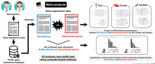 An overview of meta-analysis of wild and cultivated crop species