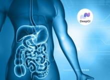 DeepGI – A Thai Innovation for the Precision in Colorectal Polyp Detection