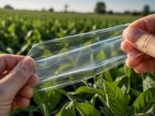 Hands stretch a clear flexible polymer film in front of green plants in an agricultural field under sunlight.