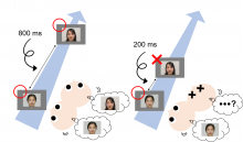 Infants could identify two faces when the temporal interval between them was 800 ms, but they could identify only the first target (overlooked the second target) when the separation was 200 ms, thus demonstrating the attentional blink