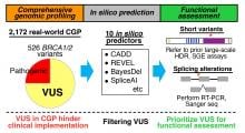 Overview of a framework for prioritizing variants of uncertain significance (VUS) identified by comprehensive genomic profiling (CGP)