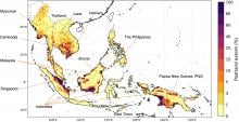 Map highlighting Southeast Asia’s peatlands, which act like giant carbon storage areas but are at risk of deforestation and drainage (Adapted from Masayuki Kondo et al., Global Biogeochemical Cycles, September 24, 2025). 