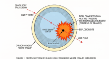 fig1