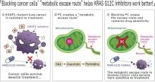 Figure. KEAP1-deficient lung cancer cells use PC-dependent metabolism as a metabolic escape route during KRAS G12C inhibition. Blocking PC restores sensitivity to treatment.