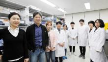 A research team, led by Prof June M. Kwak