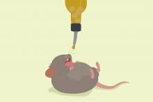 Cartoon mouse happily eating soybean oil