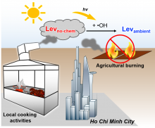 Biomass burning sources