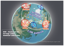 The relationships among CAW, heatwaves, wildfires, and pollution. Anomalous anticyclones characterize the atmospheric circulation that develops concomitantly over the three remote regions around the summertime Arctic (July and August). The authors named it the circum-Arctic wave (CAW) pattern. These anticyclones induce warm and dry conditions from the surface to the mid-troposphere. The CAW can drive heatwaves and wildfires; wildfire smoke also emits aerosols that increase PM2.5 in and around the Arctic