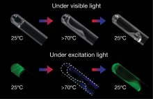 (Top) The star-polymer-DNA-gel (left) liquifies when its temperature is increased to more than 70˚C (center), and returns to a gel when the temperature drops back to 25˚C (right). (Bottom) Under UV light, the star-polymer-DNA-gel fluoresces green (left, right), but does not fluoresce when liquified (Photo: Xiang Li).
