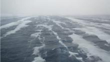 Frazil ice formed below the ocean surface drives the generation of cold dense water