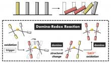 A domino reaction is a series of chemical reactions where each reaction triggers the next reaction in the series, like falling dominoes (top). In a domino redox reaction, each reaction causes a structural change that triggers the next redox reaction in the series (bottom). (Takashi Harimoto, et al. Angewandte Chemie International Edition. November 28, 2023)
