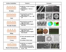 In a recent collaborative study, researchers from Lingnan University propose that naturally formed surface textures in materials could in future be combined with AI-assisted design to develop novel functional materials.