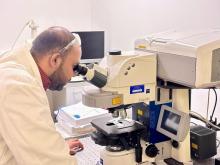  Observing skin tissue samples by confocal microscopy